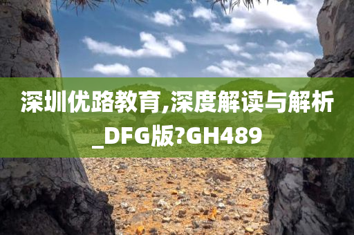 深圳优路教育,深度解读与解析_DFG版?GH489