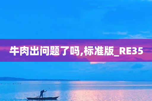 牛肉出问题了吗,标准版_RE35