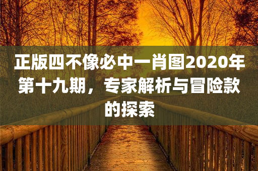 正版四不像必中一肖图2020年第十九期，专家解析与冒险款的探索