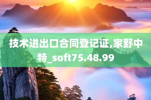 技术进出口合同登记证,家野中特_soft75.48.99