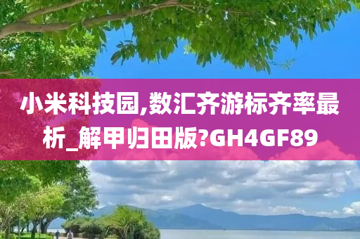 小米科技园,数汇齐游标齐率最析_解甲归田版?GH4GF89