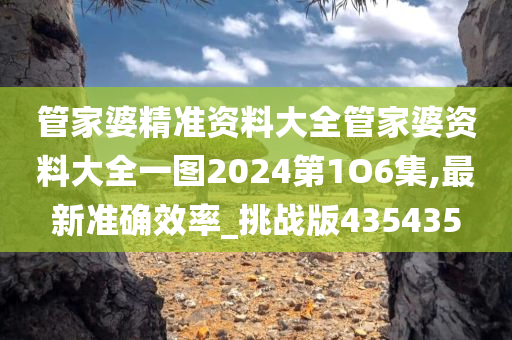 管家婆精准资料大全管家婆资料大全一图2024第1O6集,最新准确效率_挑战版435435