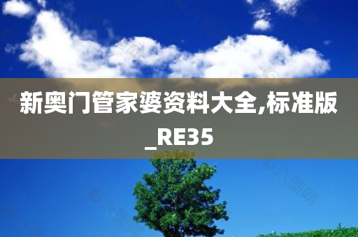 新奥门管家婆资料大全,标准版_RE35