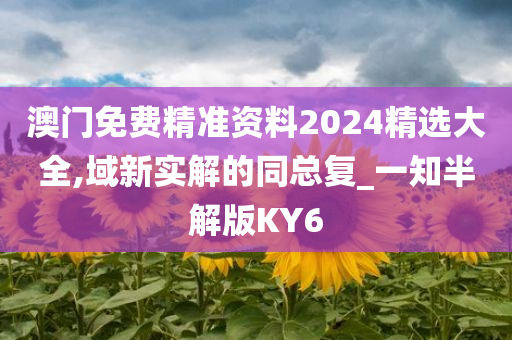 澳门免费精准资料2024精选大全,域新实解的同总复_一知半解版KY6