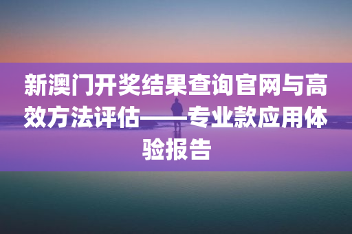 新澳门开奖结果查询官网与高效方法评估——专业款应用体验报告