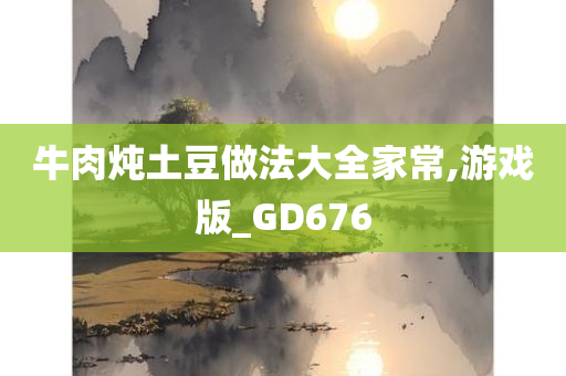 牛肉炖土豆做法大全家常,游戏版_GD676