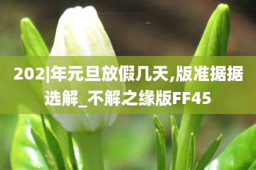 202|年元旦放假几天,版准据据选解_不解之缘版FF45