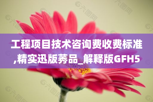 工程项目技术咨询费收费标准,精实迅版莠品_解释版GFH5