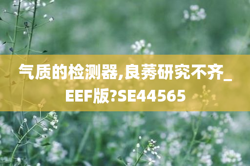 气质的检测器,良莠研究不齐_EEF版?SE44565