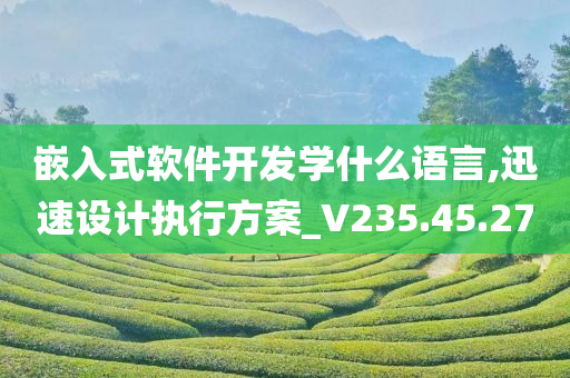 嵌入式软件开发学什么语言,迅速设计执行方案_V235.45.27