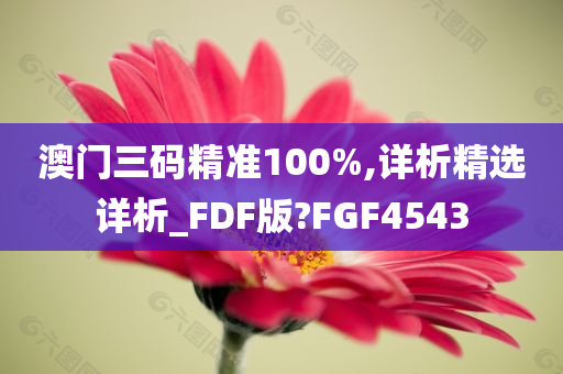 澳门三码精准100%,详析精选详析_FDF版?FGF4543