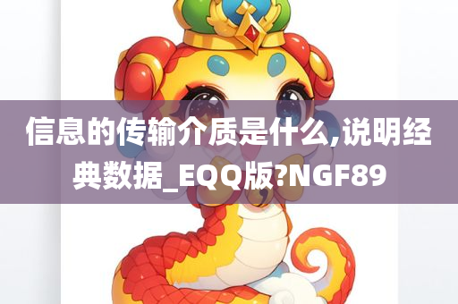 信息的传输介质是什么,说明经典数据_EQQ版?NGF89