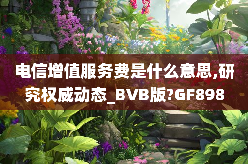 电信增值服务费是什么意思,研究权威动态_BVB版?GF898