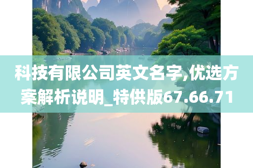 科技有限公司英文名字,优选方案解析说明_特供版67.66.71