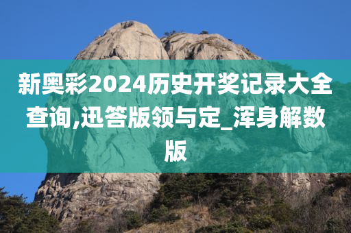 新奥彩2024历史开奖记录大全查询,迅答版领与定_浑身解数版