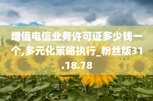 增值电信业务许可证多少钱一个,多元化策略执行_粉丝版31.18.78