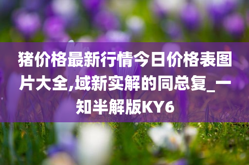 猪价格最新行情今日价格表图片大全,域新实解的同总复_一知半解版KY6