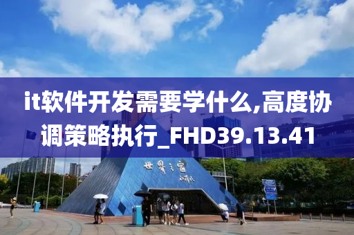 it软件开发需要学什么,高度协调策略执行_FHD39.13.41