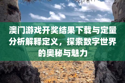 澳门游戏开奖结果下载与定量分析解释定义，探索数字世界的奥秘与魅力