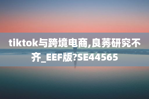 tiktok与跨境电商,良莠研究不齐_EEF版?SE44565