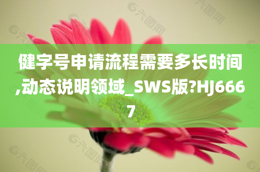 健字号申请流程需要多长时间,动态说明领域_SWS版?HJ6667