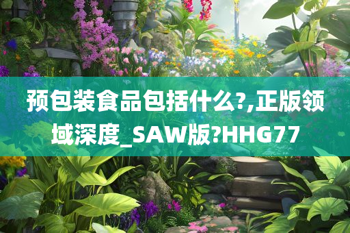 预包装食品包括什么?,正版领域深度_SAW版?HHG77