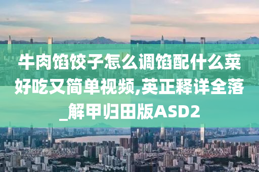 牛肉馅饺子怎么调馅配什么菜好吃又简单视频,英正释详全落_解甲归田版ASD2