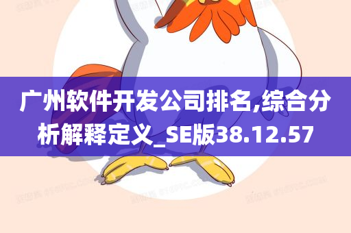 广州软件开发公司排名,综合分析解释定义_SE版38.12.57