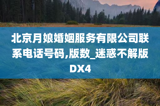 北京月娘婚姻服务有限公司联系电话号码,版数_迷惑不解版DX4