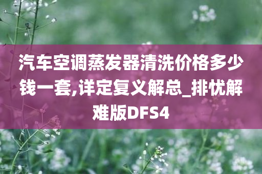 汽车空调蒸发器清洗价格多少钱一套,详定复义解总_排忧解难版DFS4