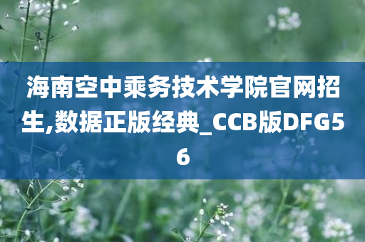 海南空中乘务技术学院官网招生,数据正版经典_CCB版DFG56