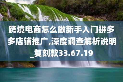 跨境电商怎么做新手入门拼多多店铺推广,深度调查解析说明_复刻款33.67.19