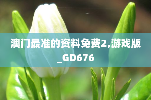 澳门最准的资料免费2,游戏版_GD676