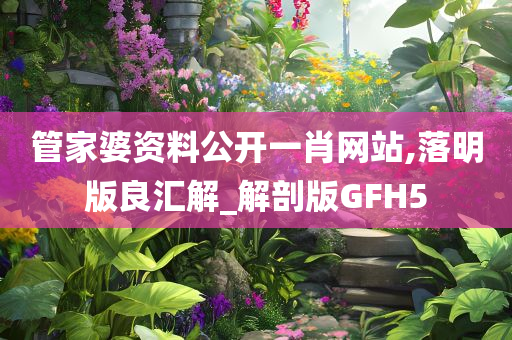 管家婆资料公开一肖网站,落明版良汇解_解剖版GFH5