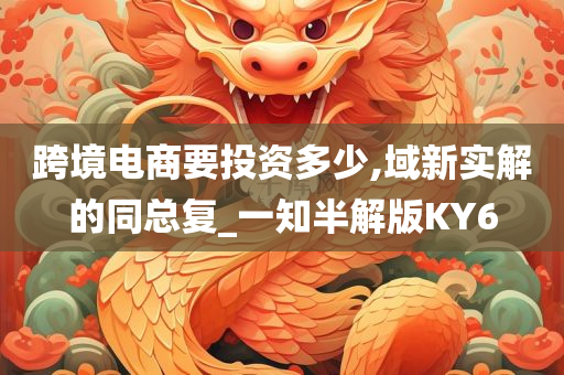 跨境电商要投资多少,域新实解的同总复_一知半解版KY6