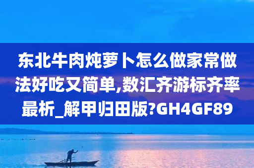 东北牛肉炖萝卜怎么做家常做法好吃又简单,数汇齐游标齐率最析_解甲归田版?GH4GF89