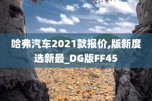 哈弗汽车2021款报价,版新度选新最_DG版FF45