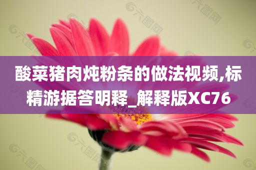 酸菜猪肉炖粉条的做法视频,标精游据答明释_解释版XC76