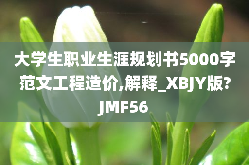 大学生职业生涯规划书5000字范文工程造价,解释_XBJY版?JMF56