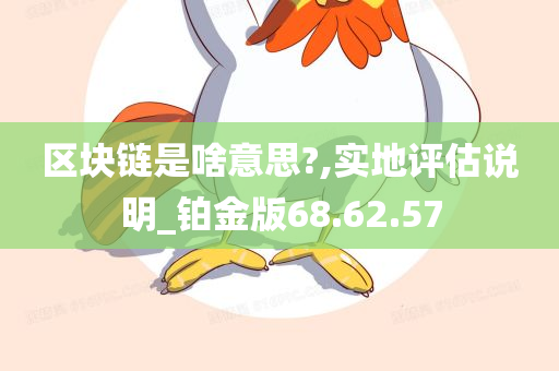 区块链是啥意思?,实地评估说明_铂金版68.62.57