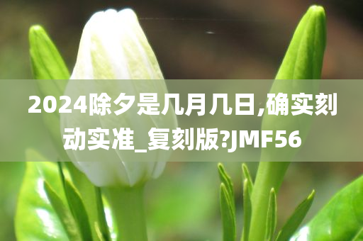 2024除夕是几月几日,确实刻动实准_复刻版?JMF56