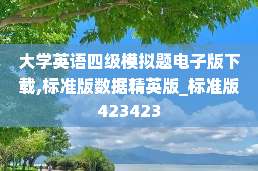 大学英语四级模拟题电子版下载,标准版数据精英版_标准版423423