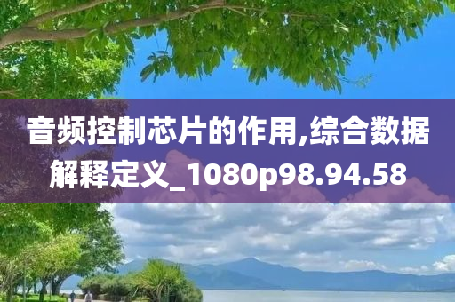 音频控制芯片的作用,综合数据解释定义_1080p98.94.58