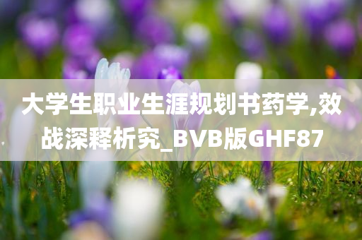 大学生职业生涯规划书药学,效战深释析究_BVB版GHF87