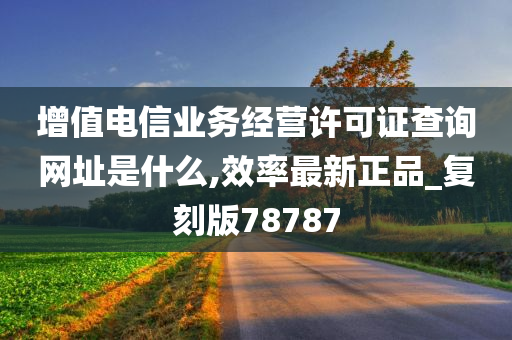 增值电信业务经营许可证查询网址是什么,效率最新正品_复刻版78787