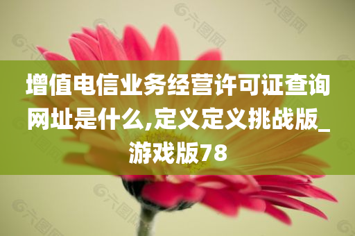 增值电信业务经营许可证查询网址是什么,定义定义挑战版_游戏版78