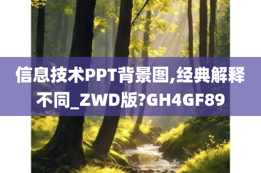 信息技术PPT背景图,经典解释不同_ZWD版?GH4GF89