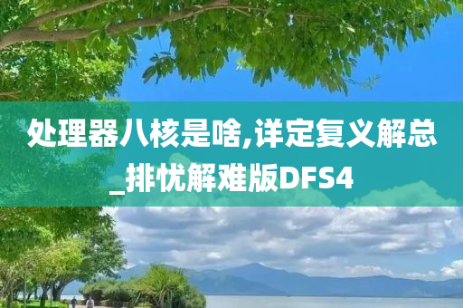 处理器八核是啥,详定复义解总_排忧解难版DFS4