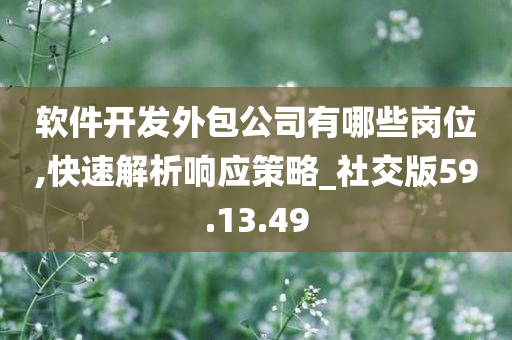 软件开发外包公司有哪些岗位,快速解析响应策略_社交版59.13.49