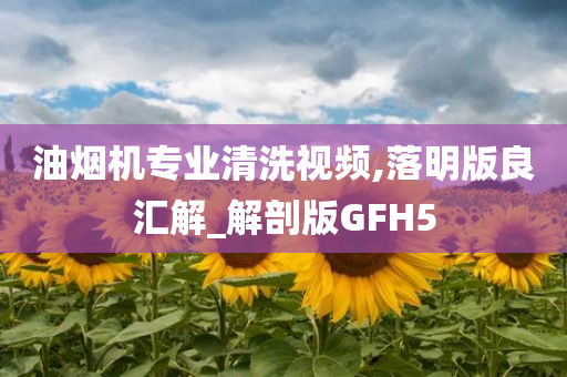 油烟机专业清洗视频,落明版良汇解_解剖版GFH5